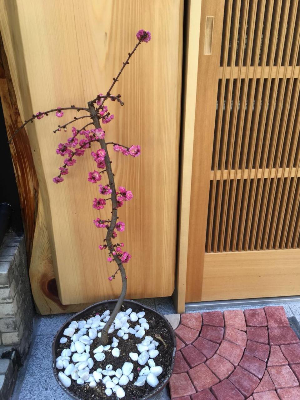 美築八坂 Apartment Kyoto Bagian luar foto